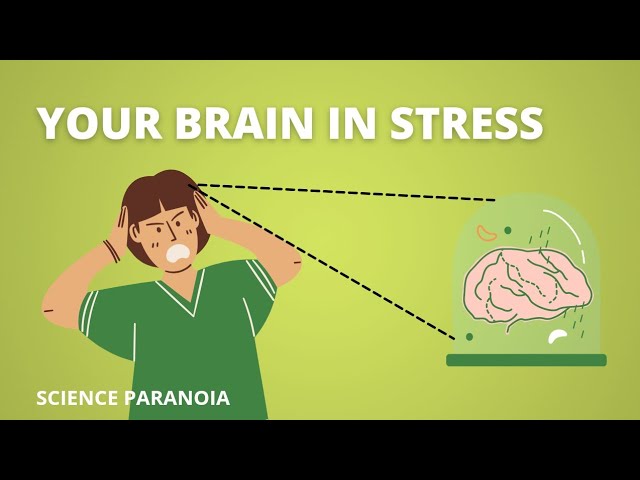 How stress affects your brain ? | Hindi