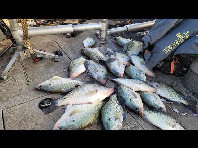 How and Where to Locate Staging Crappie in MARCH 2024 (Pre Spawn Crappie Fishing)