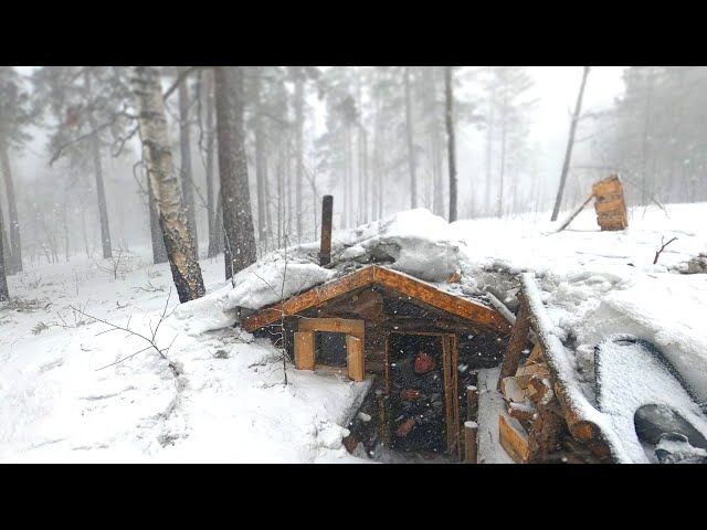 ALEX WILD dugout life: Waiting for the STORM, I hid in a log cabin. FOREST BUNKER part 24
