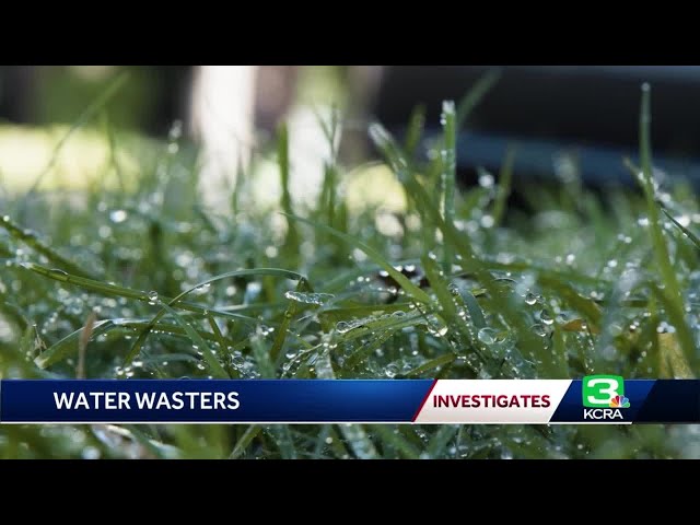 Water wasters under fire: Complaints over Sacramento water misuse more than doubles in past year