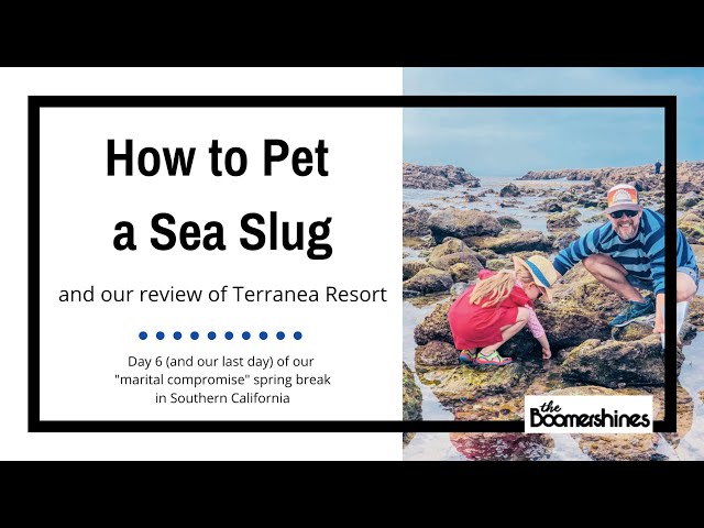 Day 6 -- How to Pet a Sea Slug and our Review of Terranea Resort in Palos Verdes, CA with Kids