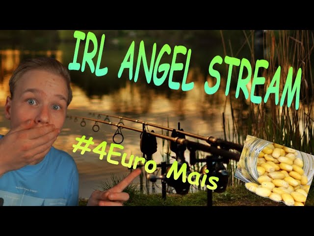 ANGEL IRL STREAM #4EURO MAIS