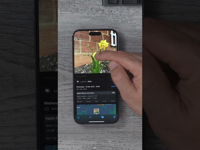How To Use iPhones Visual Look Up Feature ( Tips 5 of 15 )
