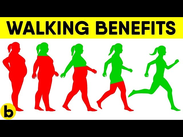 5 Ways Walking Can Help You Lose Weight And Belly Fat