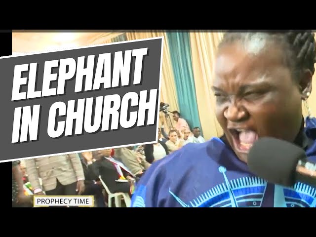 "SHOCKING!!! SHE CAME WITH AN ELEPHANT READY TO ATTACK PROPHET KAKANDE.