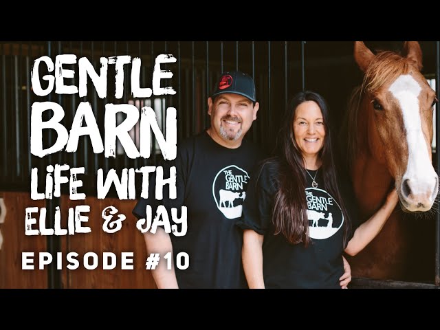 Gentle Barn Life with Ellie & Jay #10
