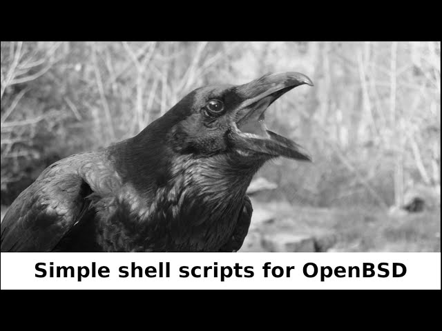 Making Some Simple and Convenient Shell Scripts on OpenBSD