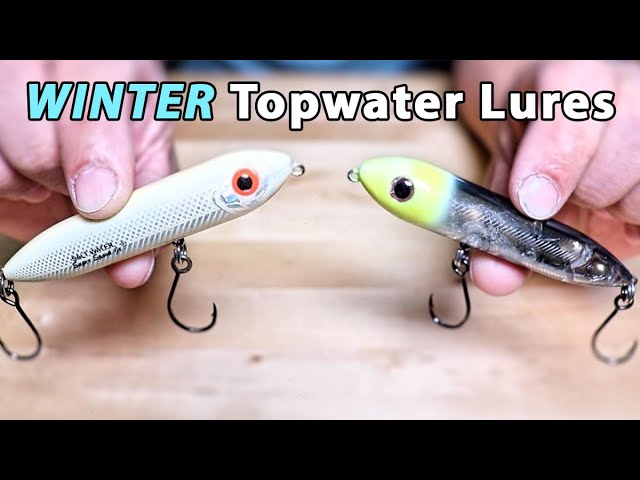 WINTER Topwater Lures: When To Catch Fish On Topwater Lures In Winter