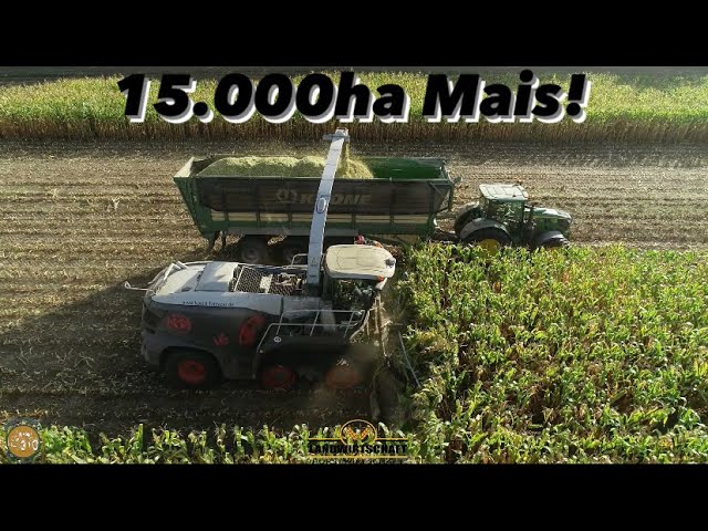 15.000ha Mais! Köhl Harvest im Großeinsatz bei der Mais Kampagne 2023 Einmaliger Jaguar 990 TT