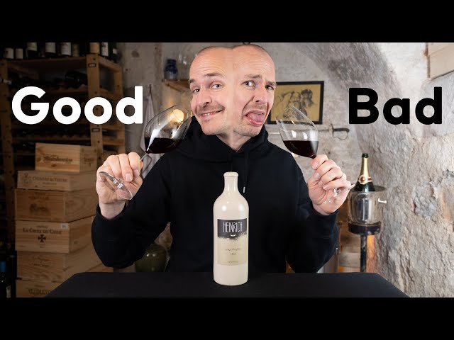 Are NATURAL WINES GOOD or BAD? Master of Wine tastes Natural Wines