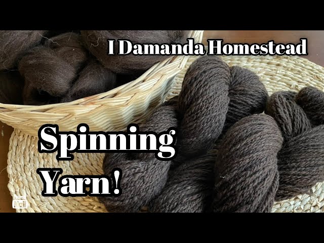 Plying Yarn on a Spinning Wheel, Making a Skein.
