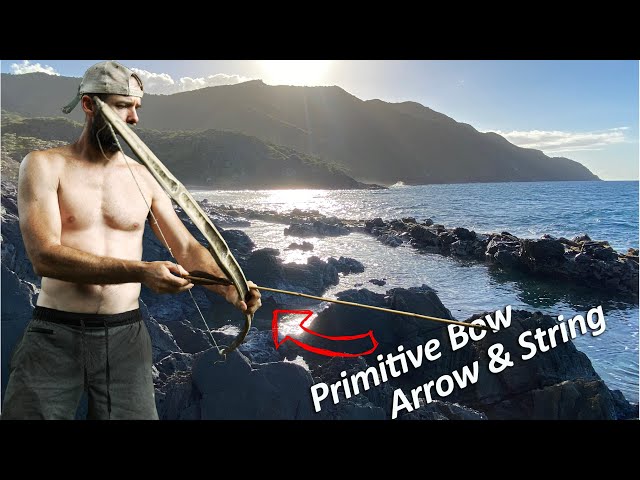 Island Survival Challenge: Bamboo Bow Build, Hunt, Catch & Cook