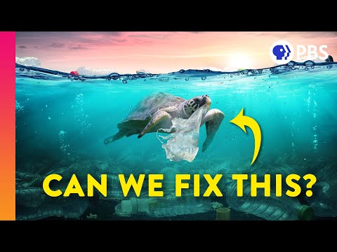 Can We Actually Clean Up the Plastic Pollution Problem?