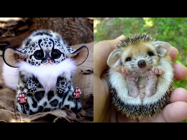 Cute baby animals Videos Compilation cute moment of the animals - Cutest Animals #34