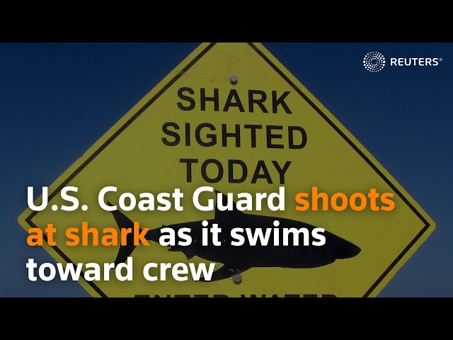 U.S. Coast Guard shoots at shark as it swims toward crew