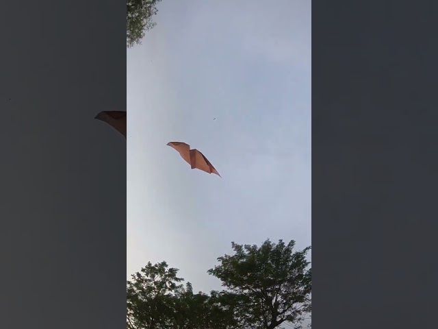 flying paper bat