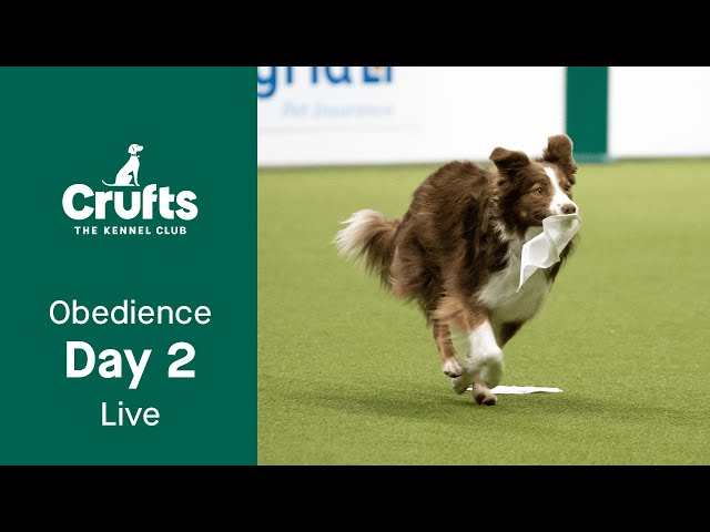 Obedience Day 2 LIVE | Inter-Regional Obedience | Crufts 2023