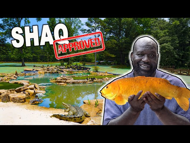 Shaq's $500,000 Pond is DONE