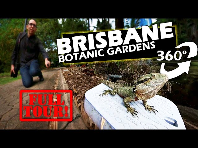 Check THIS OUT! | 360° interactive walk through Brisbane City Botanic Gardens