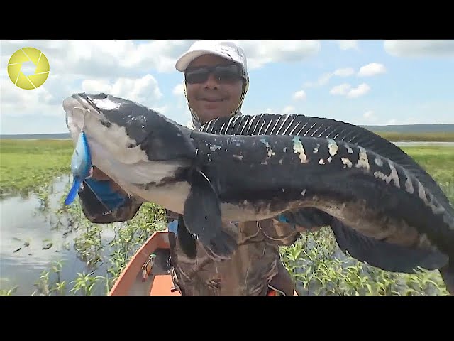 Most unexpected fish caught in an unusual fishing way