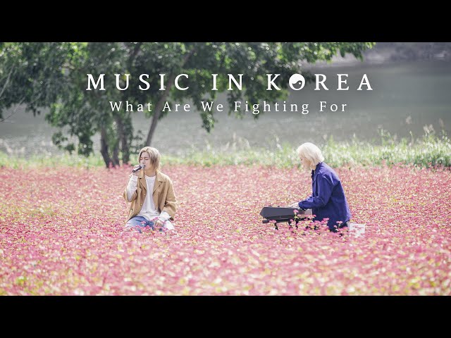 MUSIC IN KOREA - What Are We Fighting For (unplugged)