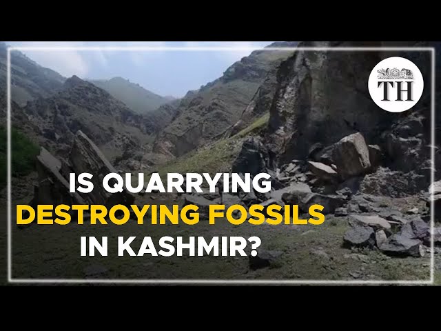 Is quarrying destroying fossils in Khonmoh, Kashmir? | The Hindu