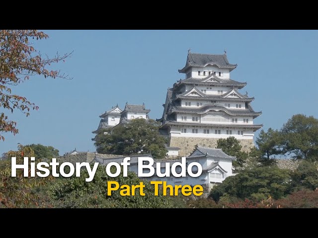 History of Budo Part 3. #martialarts #samurai