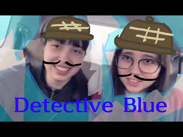 Diary 545 - Detective Blue by Audrey and Kate - Guitar & Bass  Original Song  Sister Rock Duo