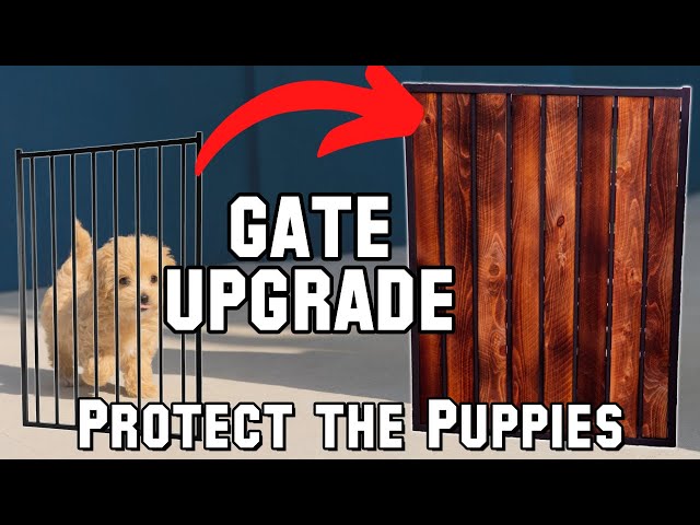 Easy DIY Gate Upgrade | Build It Make It