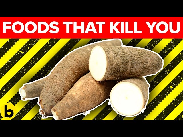 Don't Eat THIS Before Watching - 16 Exotic Foods That Could End Your Life?