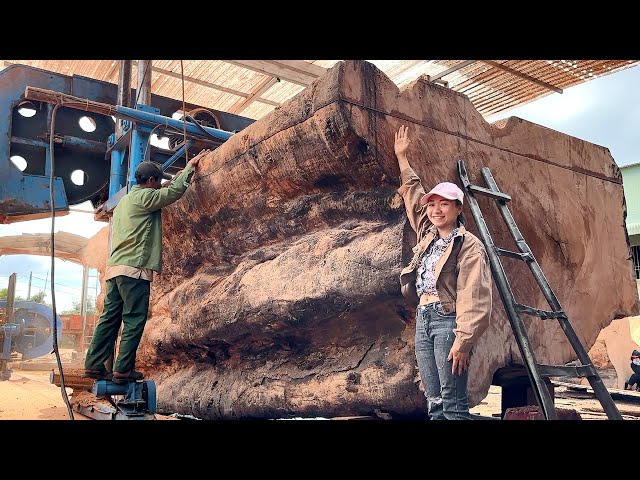 Wood Cutting Skills // Do You Think This Tree Is 5000 Years Old?