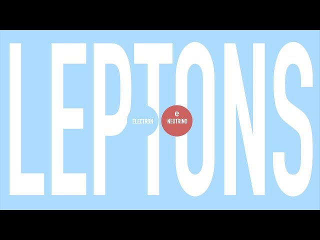 What are LEPTONS? | Particle Physics 101 PART 3