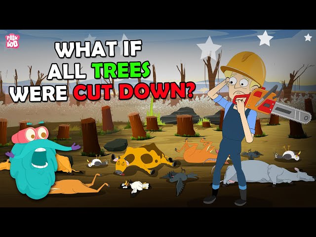 What If All Trees Were Cut Down? | Earth Without Trees | The Dr Binocs Show | Peekaboo Kidz