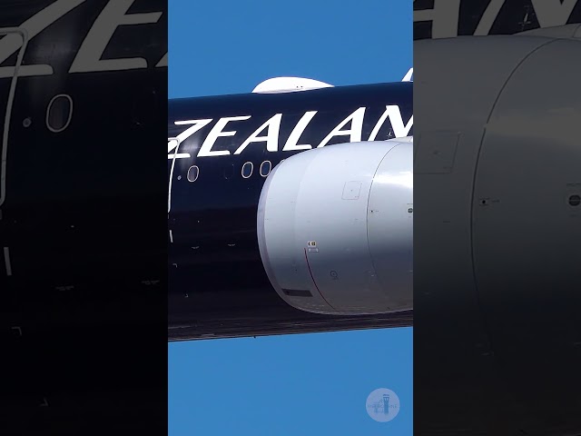 ALL BLACK Air New Zealand Boeing 777 Landing at LAX Airport