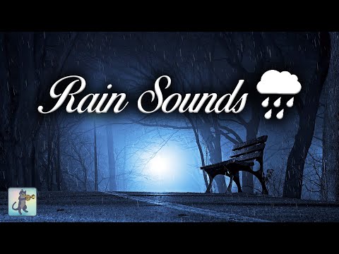 🌧️ Rain Sounds