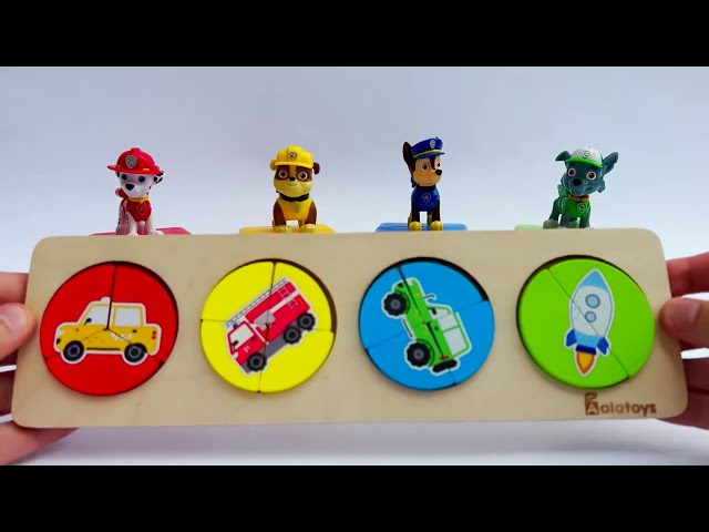 Learn Shapes & Number with PAW Patrol Toys Pups and @Mr.Peterman HD