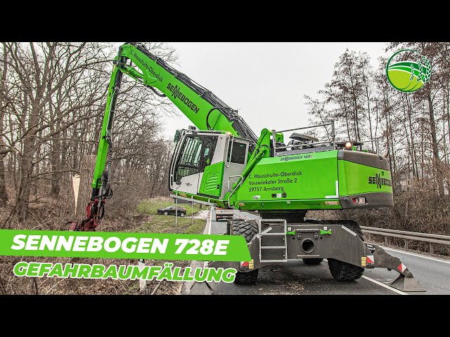 DANGER TREE FELLING with the new SENNEBOGEN 728E felling excavator