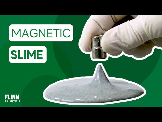 Magnetic Slime | FlinnScientific