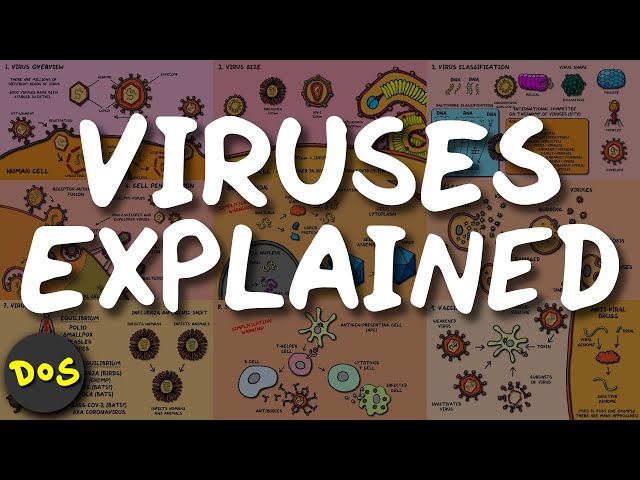 VIRUSES Explained in 9 Slides