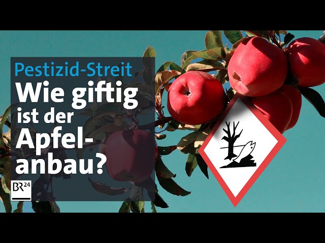 Pestizid-Streit: Perfekte Äpfel und ihre giftige Schattenseite | Die Story | Kontrovers | BR24