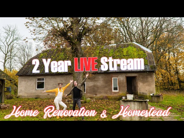2 Years In Homestead Livestream