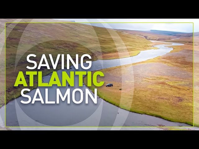 Protecting Iceland's Fresh Waters | INEOS Sustainability