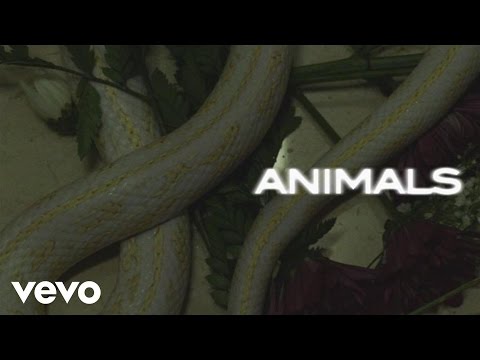 Maroon 5 - Animals (Lyric Video)