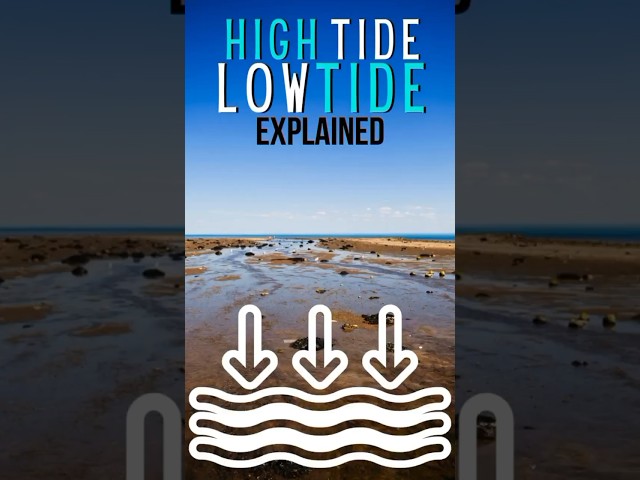 High Tide And Low Tide Explained #shorts