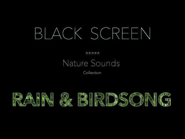 Nature Sounds-Rain & Forest Birdsong Dark/Black Screen-Relaxing Calm Sleeping Sound-Johnnie Lawson