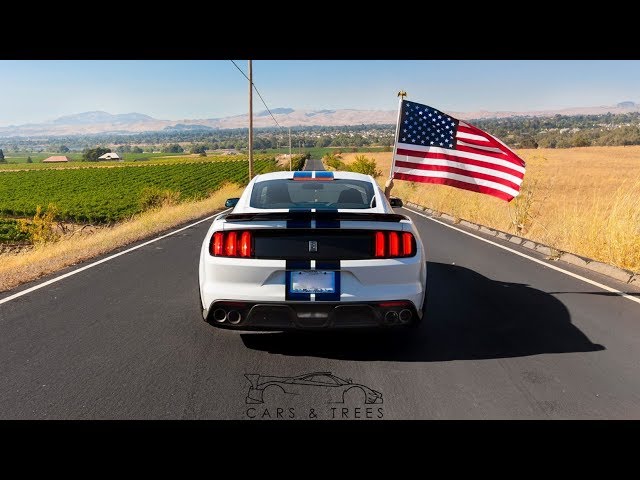 The Best Mustang Ever Made? | Shelby GT350 Owner Perspective!