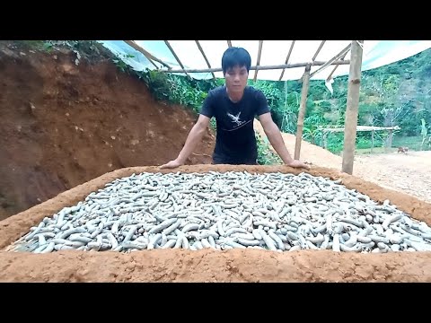 Opening of the Drying Furnace, First Batch, Future Life, Episode 61