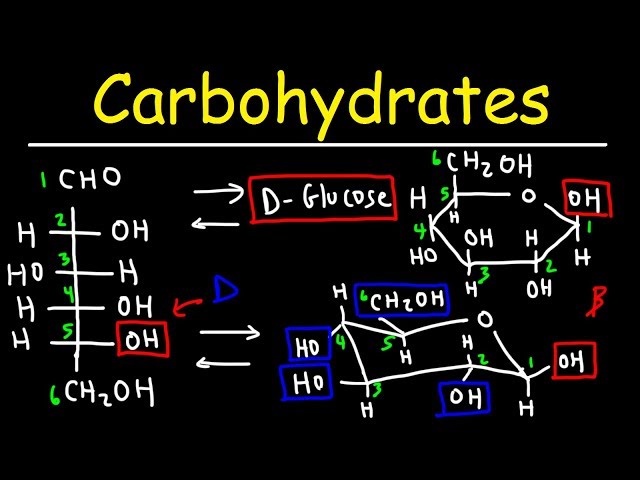 Carbohydrates - Haworth & Fischer Projections With Chair Conformations