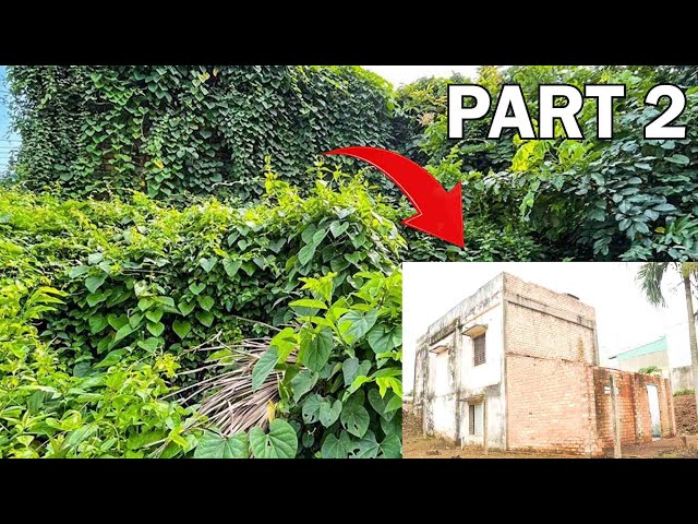 [PART 2] We Cleared The Lawn and The Vegetation Covering The Abandoned House | Cleanup MK