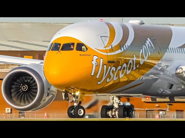 30 MINUTES of GREAT Melbourne Airport Plane Spotting | A380 A350 B747 B777 B787